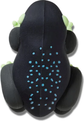 3D Frog