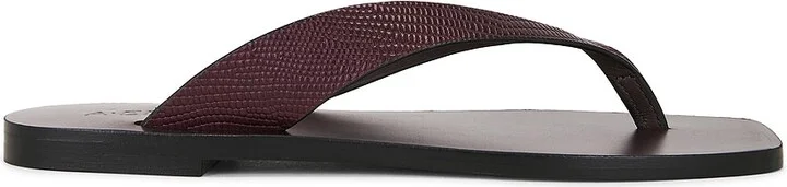 Mulberry Lizard