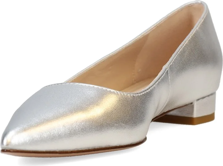 Aaila Pointed Toe Flat - Image 4