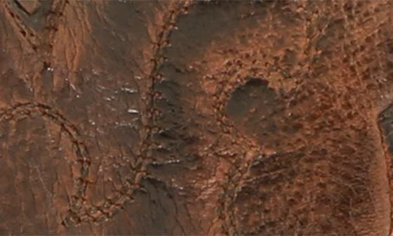 Ace Western Boot - Image 8