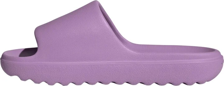 Preloved Purple/Preloved Purple/Prelove