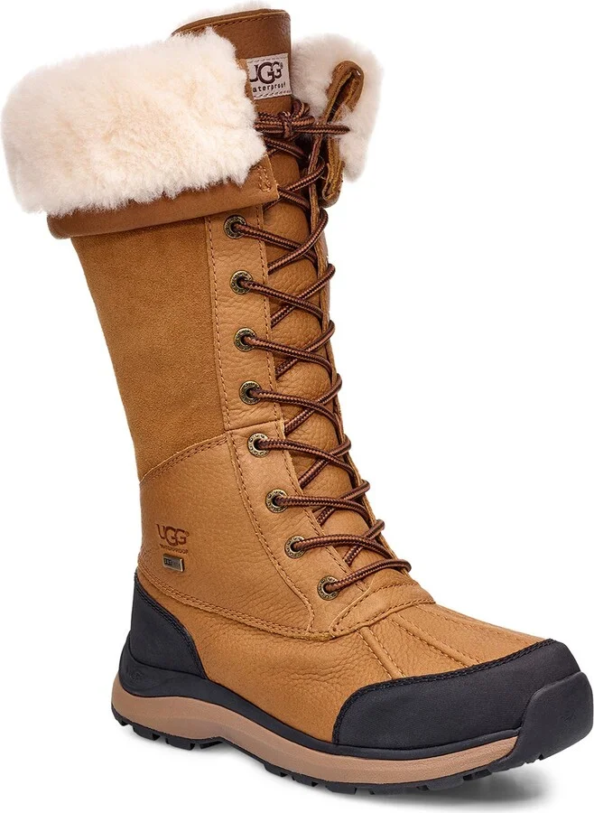 Adirondack III Waterproof Tall Boot