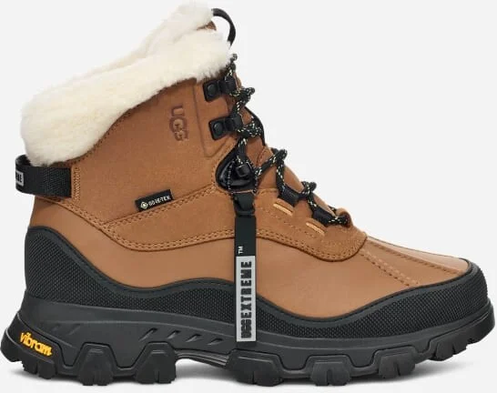 Adirondack Meridian Hiker
