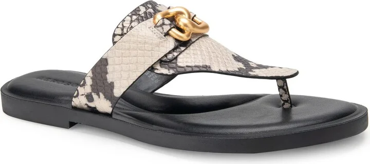 Aerosoles Women's Greta Slide Sandal