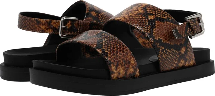 Brown Snake