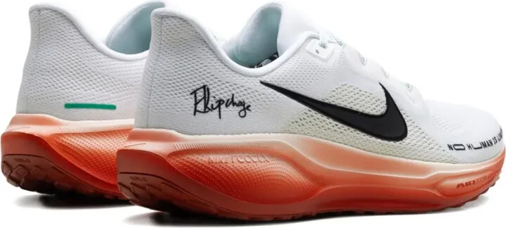 Air Zoom Pegasus 41 Eliud Kipchoge sneakers - Image 3