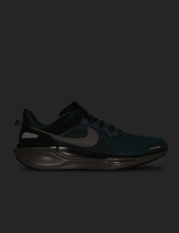 Air Zoom Pegasus 41 Sp - Image 5