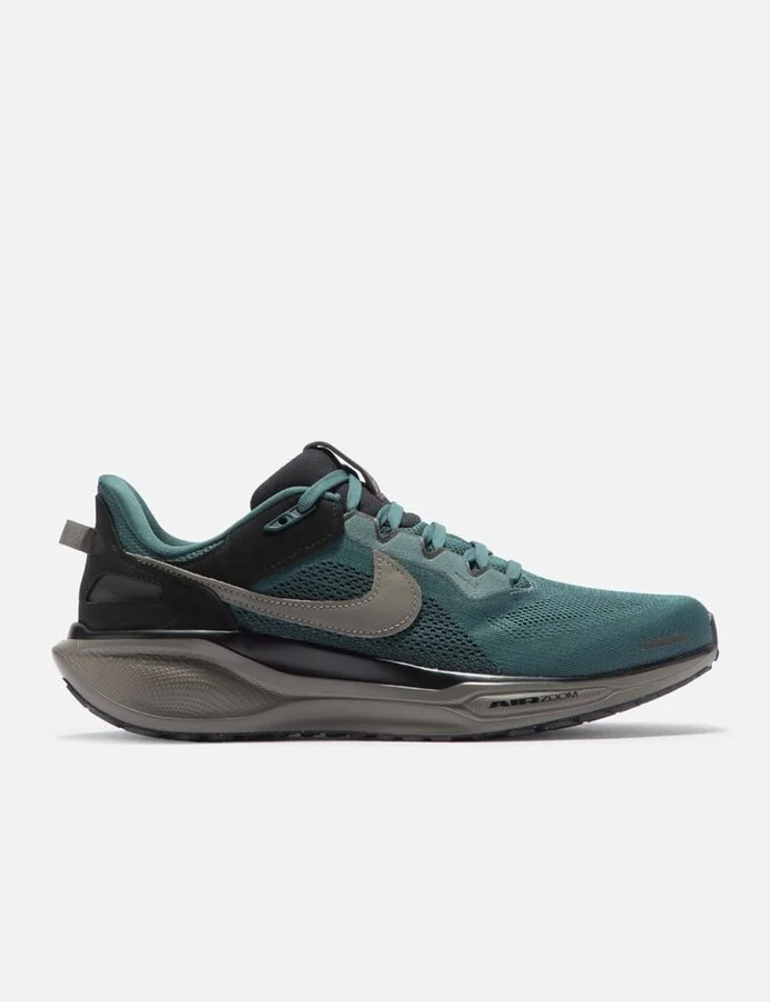 Air Zoom Pegasus 41 Sp