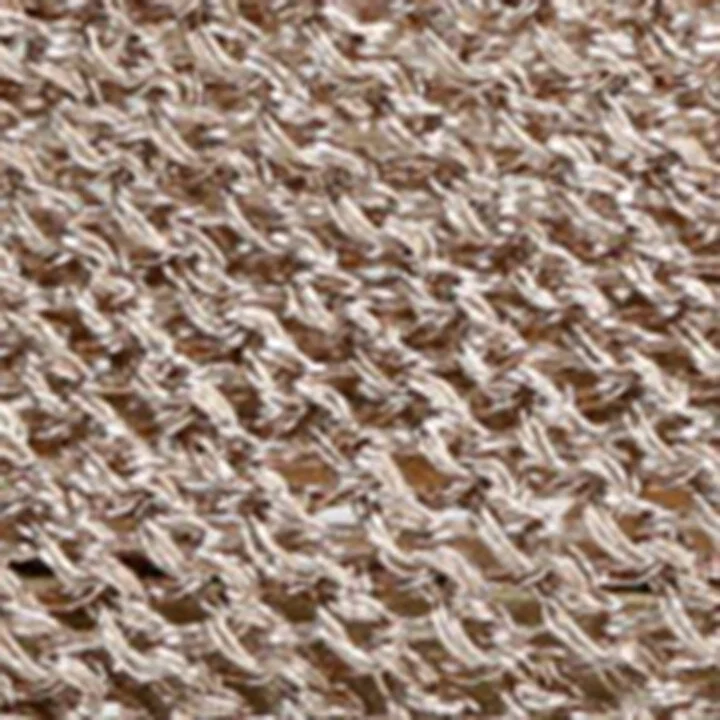 Alaïa Lurex Crochet Ballet Flats - Image 5