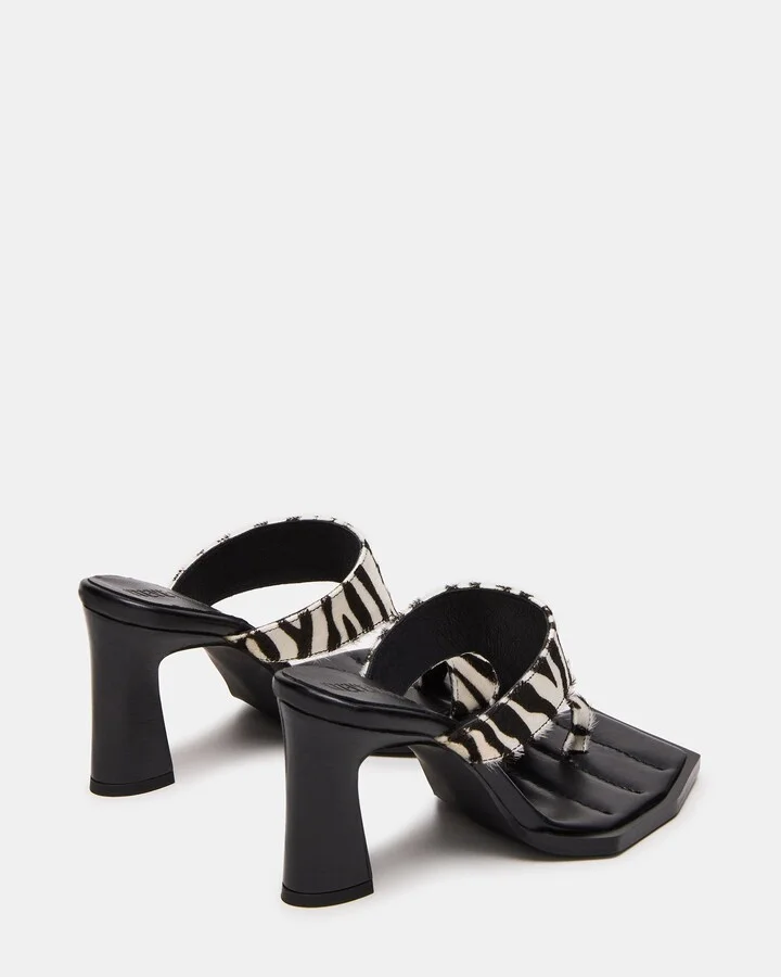 Alameda Zebra - Image 5