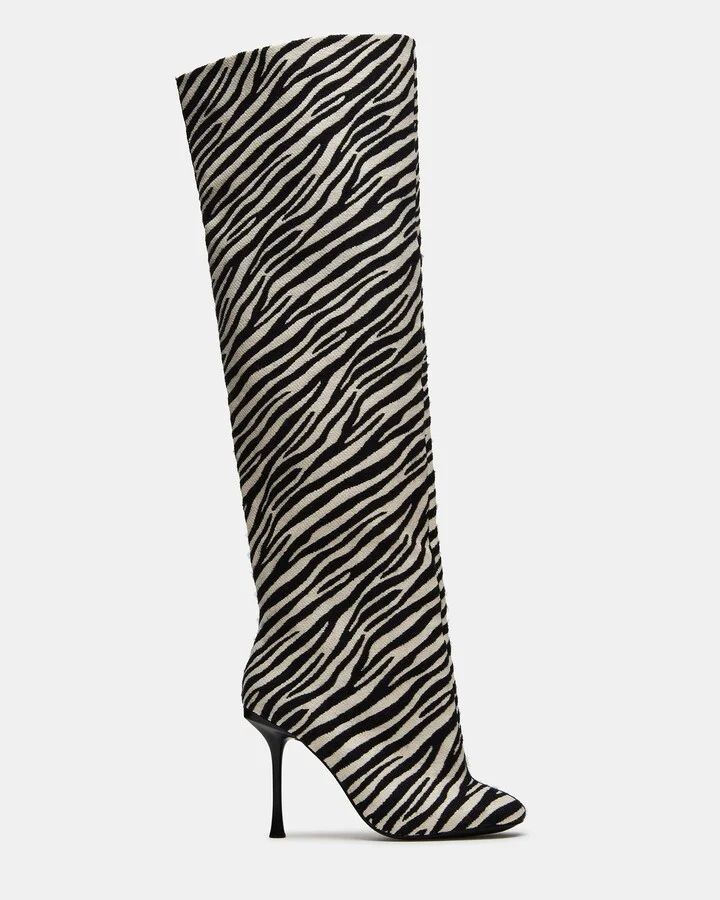 Alluring Zebra