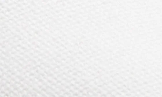 Alpargata Canvas Sneaker - Image 6