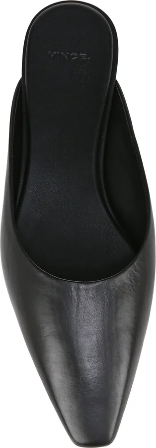 Ana Mule - Image 5