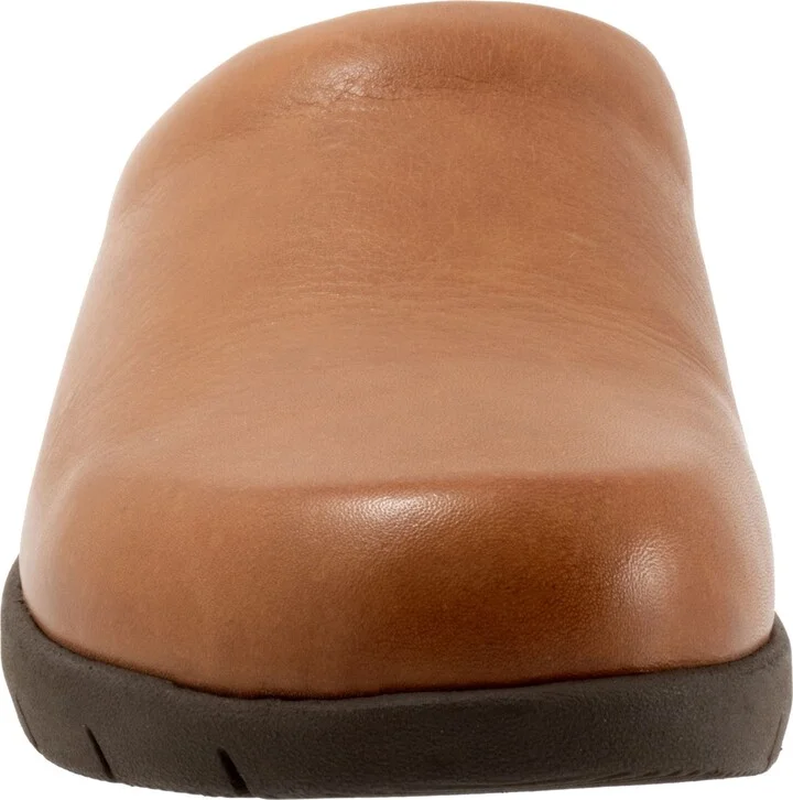 Andria Mule - Image 4