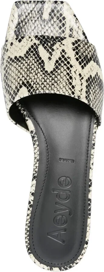 Anna flats - Image 4