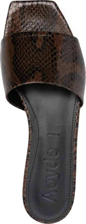 Anna slides - Image 4