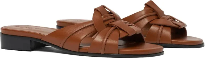 Anna slides - Image 2