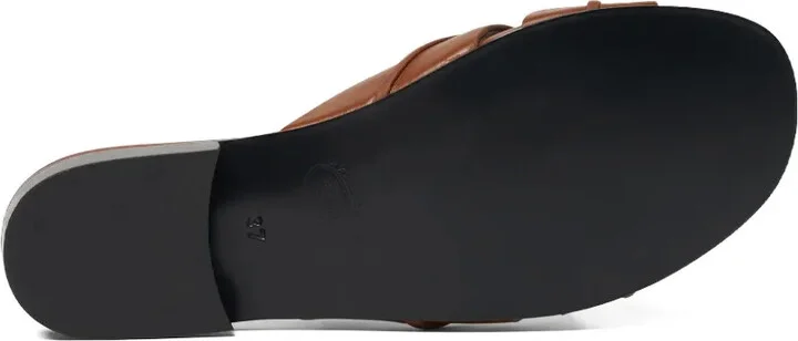 Anna slides - Image 5