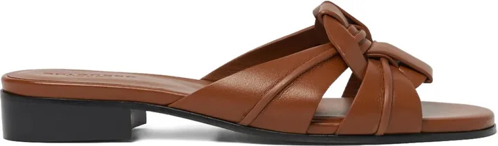 Anna slides
