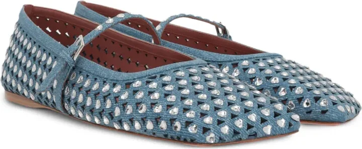 Anne embellished ballerina shoes - Image 2