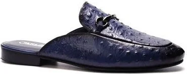 Blue Ostrich