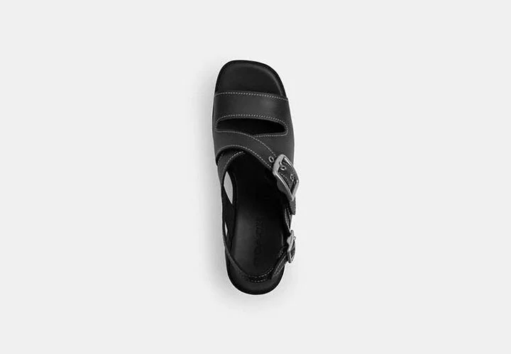 Archival Buckle Wedge - Image 4