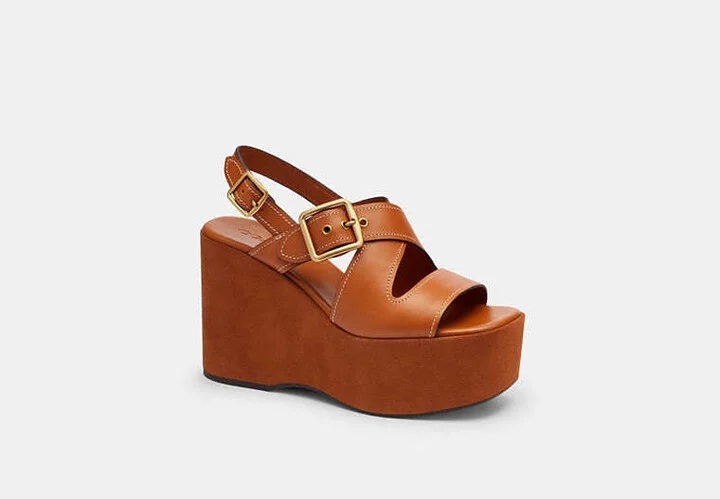 Archival Buckle Wedge