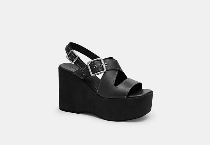 Archival Buckle Wedge
