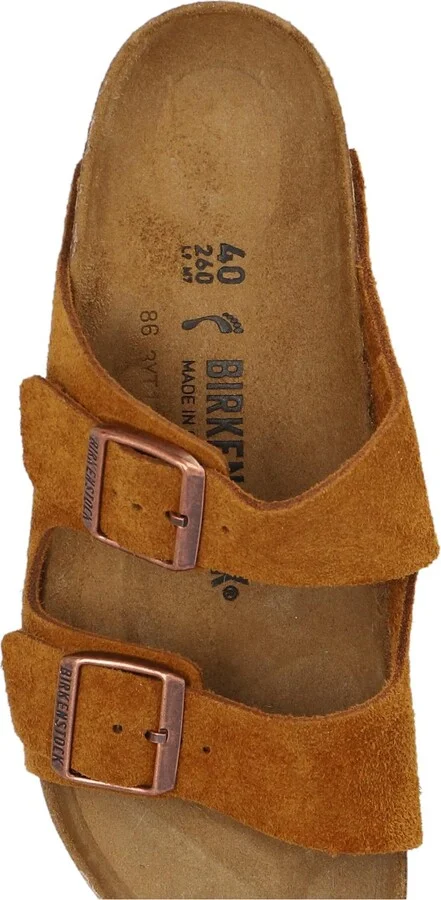 'arizona Bs' Slides - Image 4
