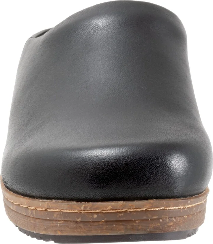 Arvada Mule - Image 11