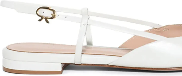 Ascent pumps - Image 2