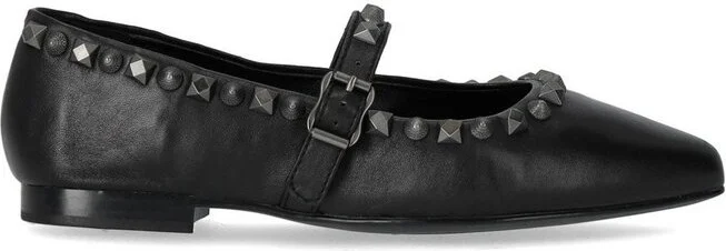 Ash Embellished Ballerina Shoes