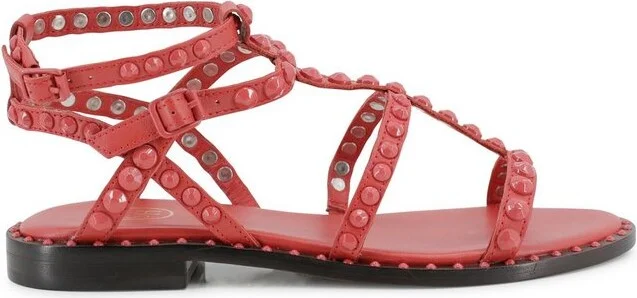 Ash Embellished Flat Shoes