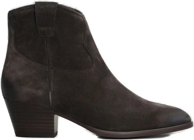 Ash Pointed-Toe Side-Zip Ankle Boots