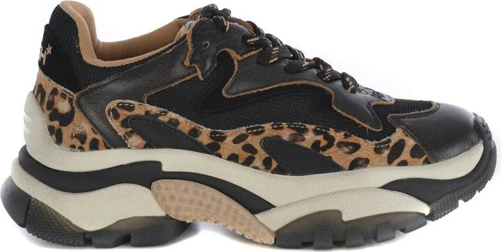 Ash Sneakers