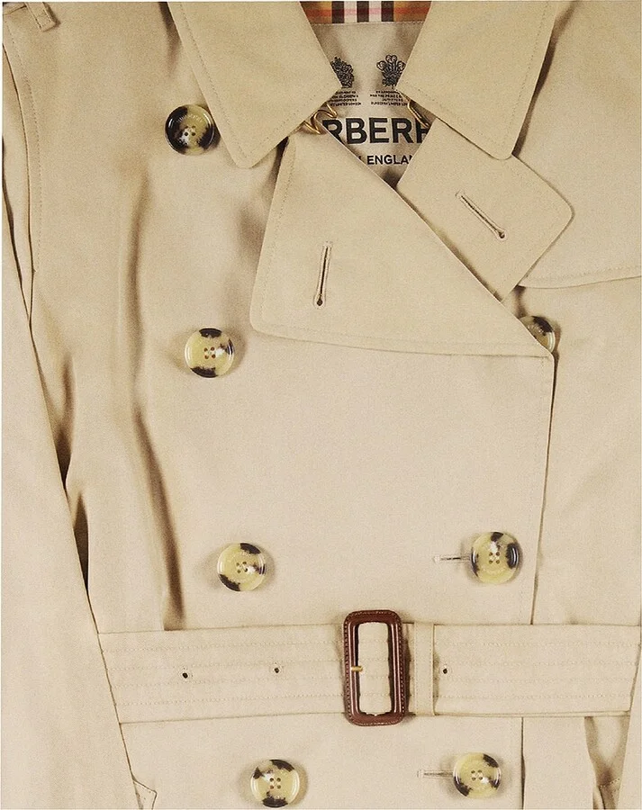 Assouline Burberry in Tan - Image 2