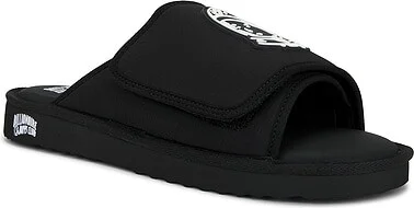 Astrowalker Slides - Image 2