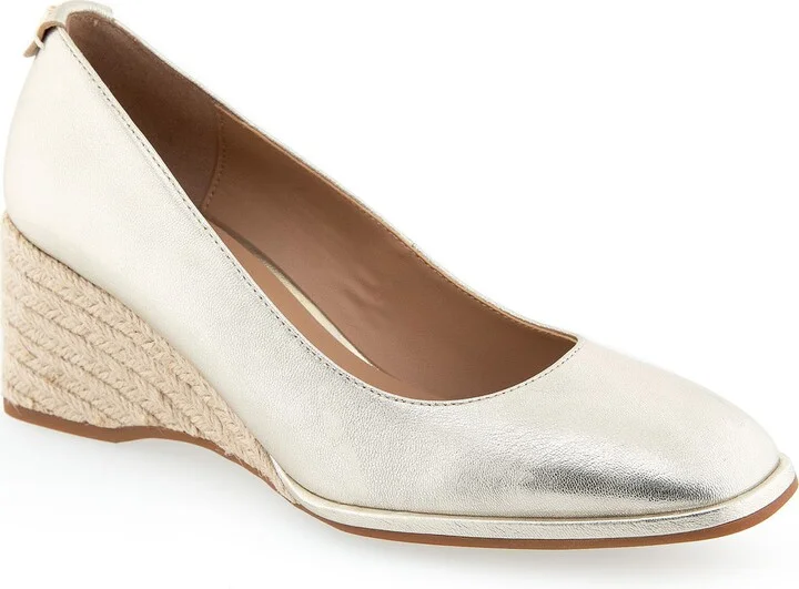 Aurora Wedge Pump