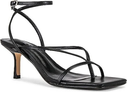 Avi Sandal - Image 2