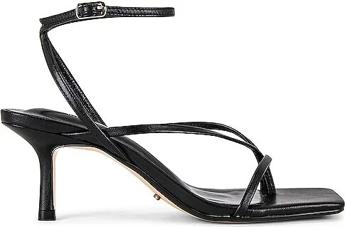 Avi Sandal