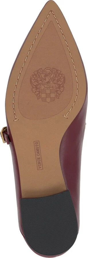 Aylin Mary Jane Pointed Toe Flat - Image 6