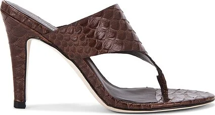 Brown Snake