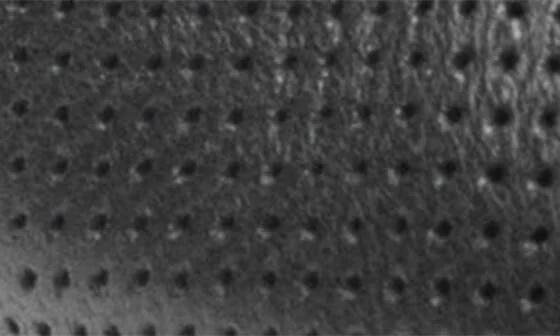 Bala Flat - Image 7