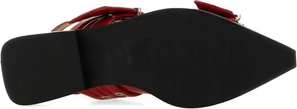 Ballerina With Buckle - Image 5
