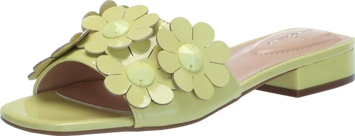 Bandolino Women's Marigold Flat Sandal