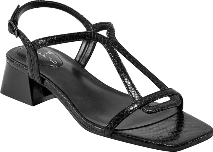 Black Snake