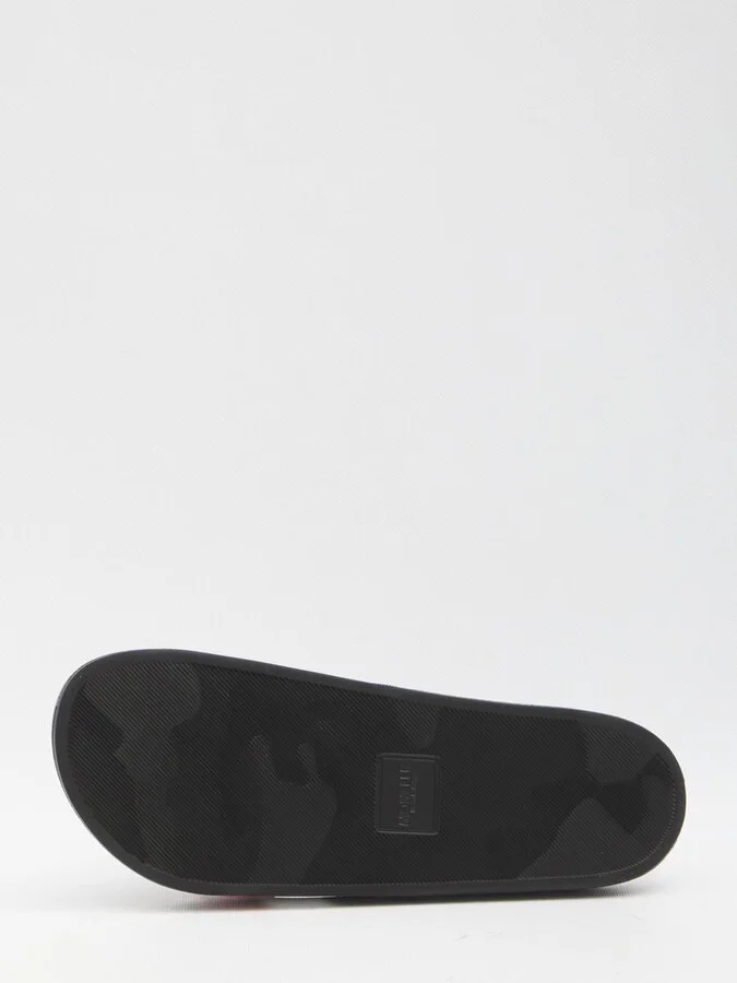 Basile Slides - Image 4