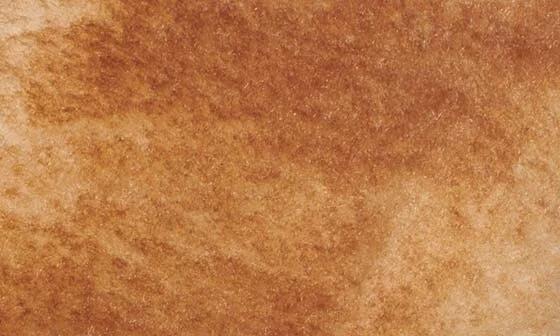 Baza Genuine Shearling Slide Sandal - Image 4