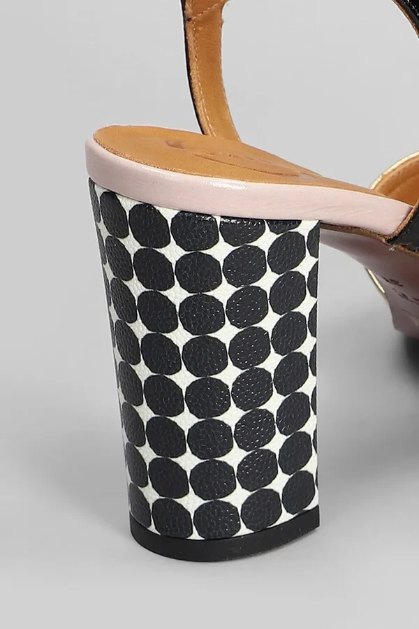 Bejo Sandals In Black Leather - Image 5