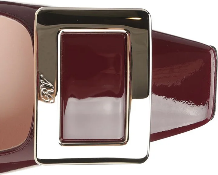 'belle Vivier' Pumps - Image 4